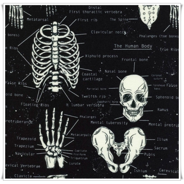 Tela Skeletons Tela Skeletons