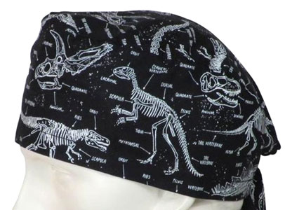 Gorrito dinosaurios